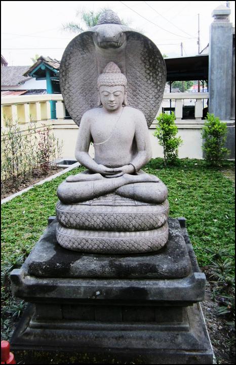 Buddha Cobra